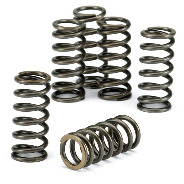 EBC EBC Clutch Spring Kit CSK092